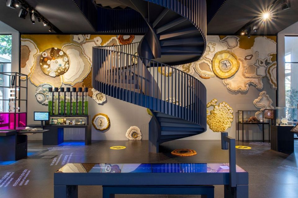 Amsterdam: ARTIS-Micropia Microbe Museum Entry Ticket - Micropia at ARTIS: what a microbe museum is actually like