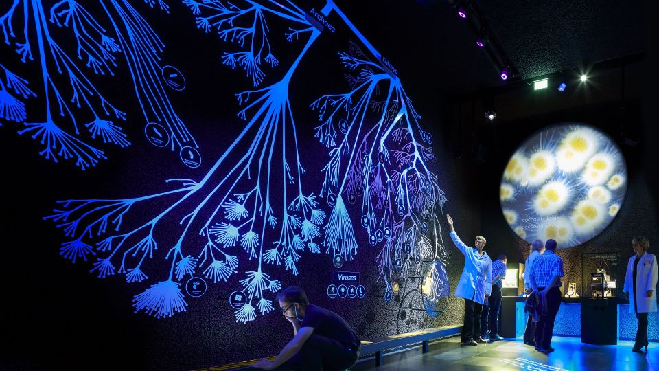 Amsterdam: ARTIS-Micropia Microbe Museum Entry Ticket - Micro Mission during spring break: what kids learn and why adults might like it too
