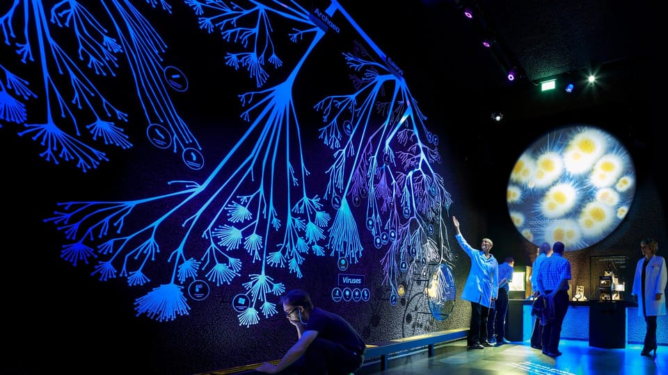 Amsterdam: Artis Royal Zoo & ARTIS-Micropia Combo Ticket - Micropia: the microbe museum that makes science feel personal