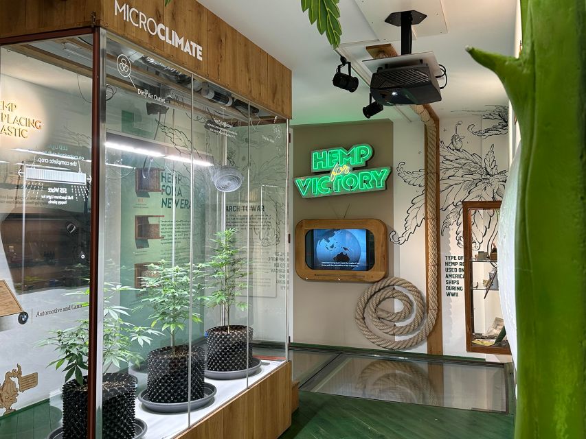 Amsterdam: Cannabis Museum Entry Ticket - History from the steppes to Amsterdam: how cannabis spread