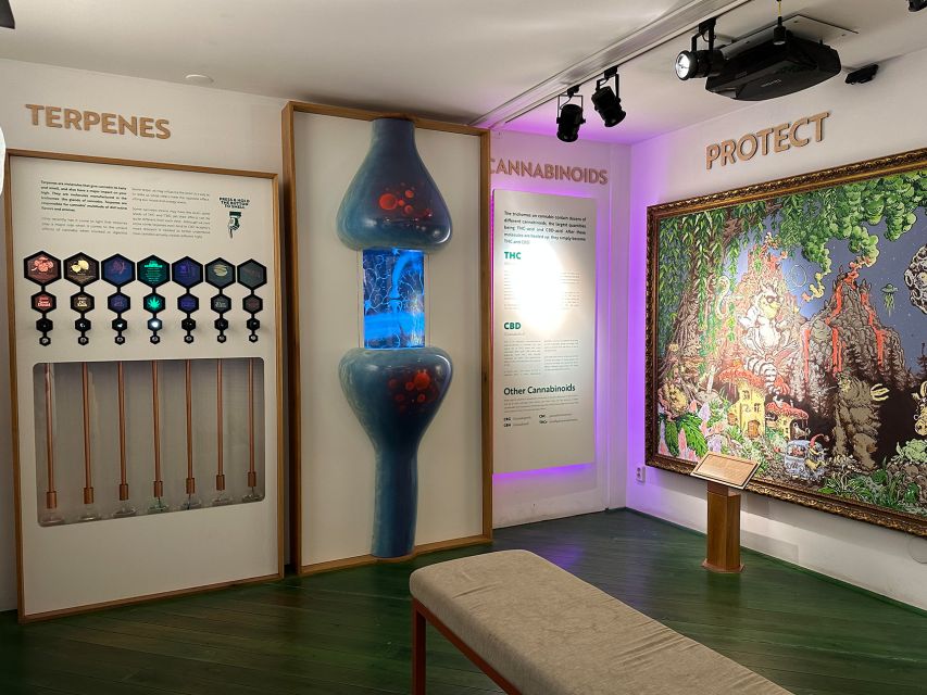 Amsterdam: Cannabis Museum Entry Ticket - Science, myths, and propaganda you can test yourself