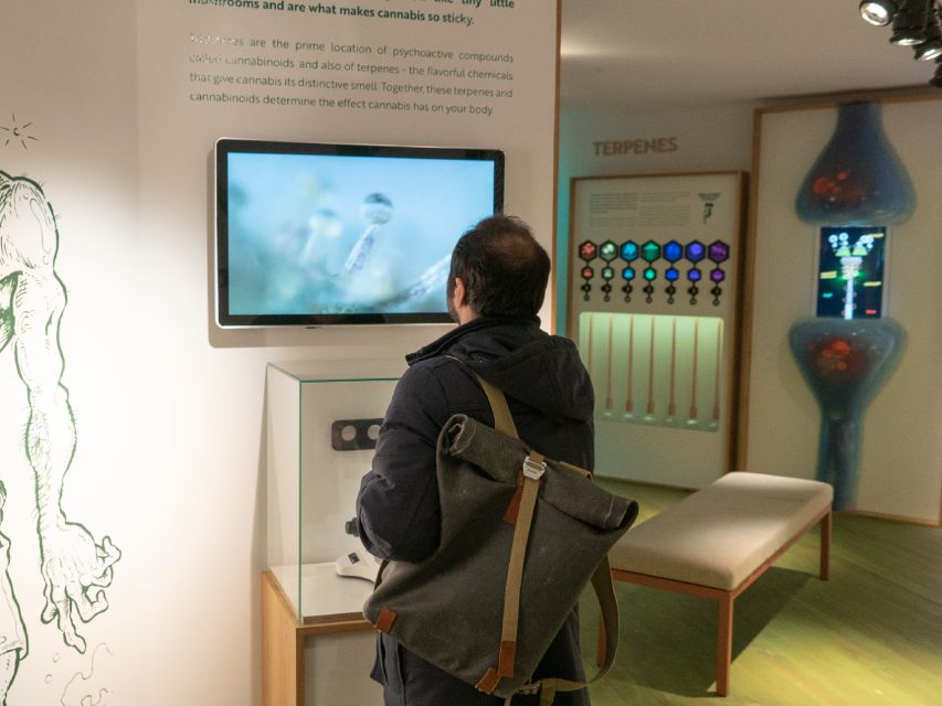 Amsterdam: Cannabis Museum Entry Ticket - Three floors of hands-on learning: plants, microscope, testing machine