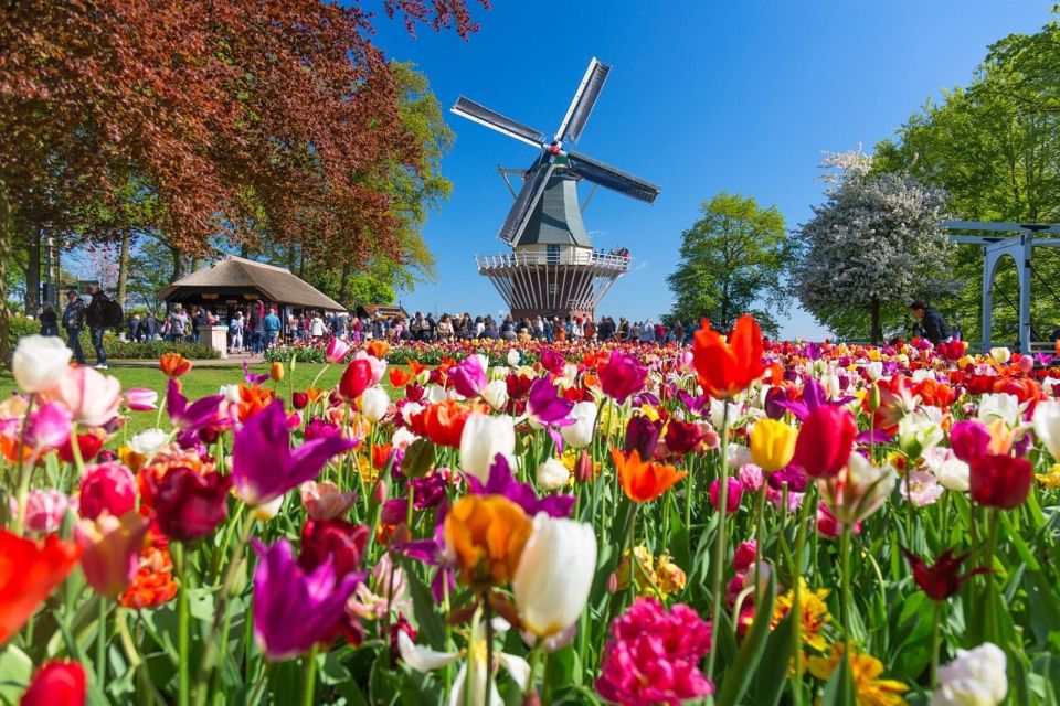Amsterdam: Day Tour Keukenhof and Zaanse Schans Windmills - Keukenhof: how to spend your flexible 4 hours without feeling rushed