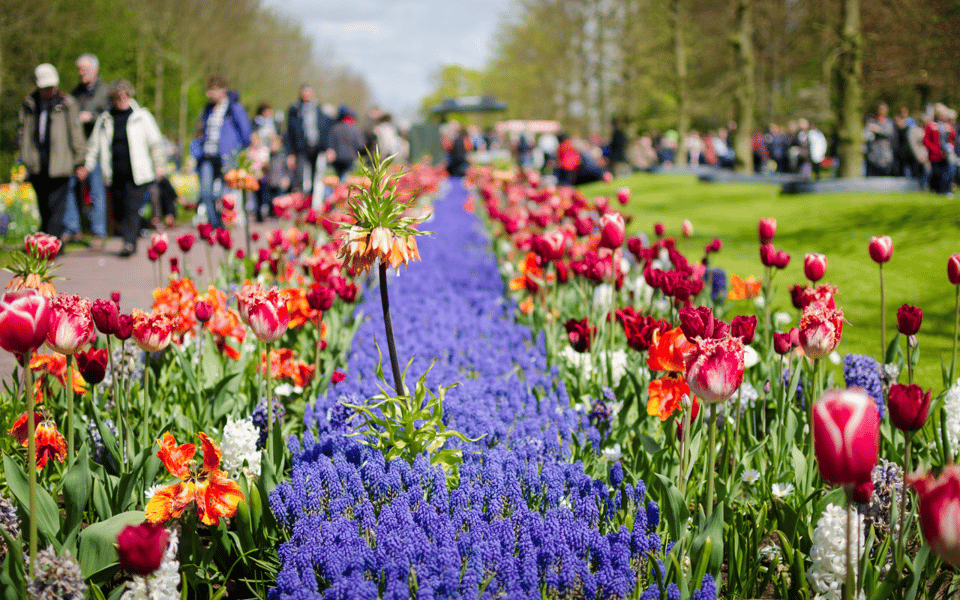 Amsterdam: Day Tour Keukenhof and Zaanse Schans Windmills - Leaving Keukenhof: flexible return buses every 30 minutes