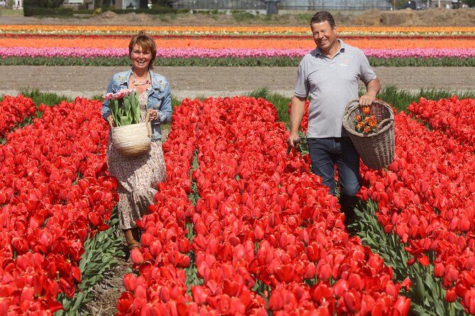 Amsterdam: Day trip to Tulip Farm, Keukenhof + Windmill Cruise - The Kagerplassen Windmill Cruise: Calmer Than You Think