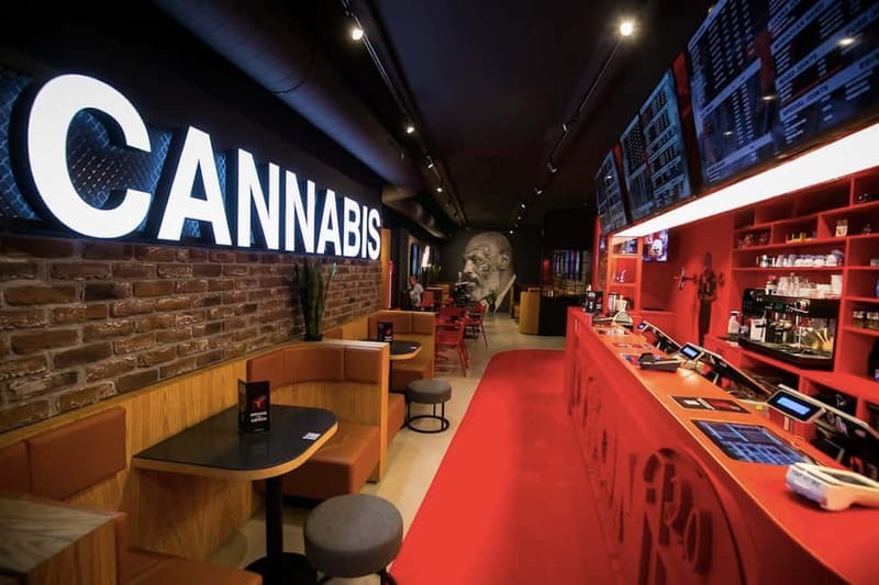 Amsterdam: Guided Ganja Walking Tour of Coffee Shops - Key things to know before you go