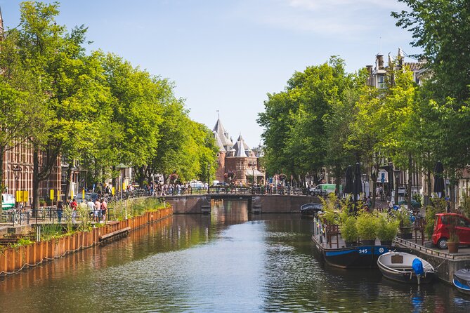 Amsterdam Highlights Small-Group Walking Tour - Price and value: why $24.08 can work (if you want context, not just pictures)