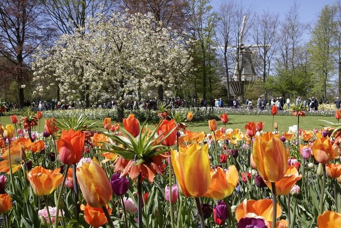 Amsterdam: Keukenhof Entry & Shuttle Bus with Flexible Return - Luxury coach ride to Keukenhof: tulip-field scenery plus a calm start
