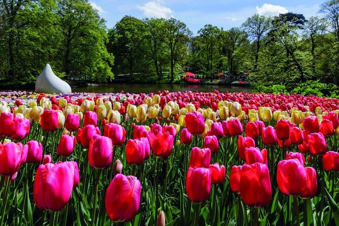 Amsterdam: Keukenhof Entry & Shuttle Bus with Flexible Return - Price and value: what you’re really buying for $42.33