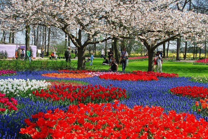 Amsterdam: Keukenhof Entry & Shuttle Bus with Flexible Return - Who should book this Keukenhof shuttle day trip