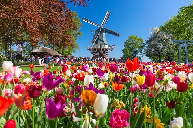 Amsterdam: Keukenhof Entry & Shuttle Bus with Flexible Return - Keukenhof at your own pace for up to 3 hours