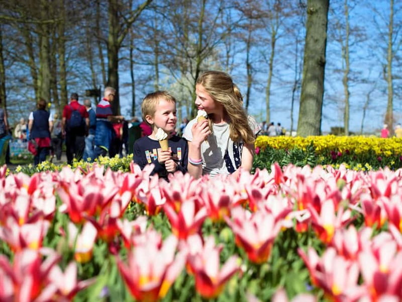 Amsterdam: Keukenhof Ticket and Roundtrip Shuttle Transfer - From This is Holland to Keukenhof: the easiest route out of Amsterdam