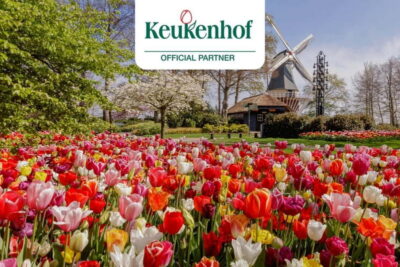 Amsterdam: Keukenhof Ticket and Roundtrip Shuttle Transfer - Getting on board: comfort, seats, and the 30-minute schedule