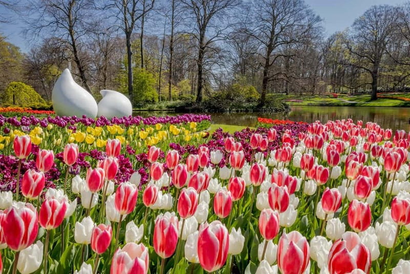 Amsterdam: Keukenhof Ticket and Roundtrip Shuttle Transfer - The return trip: how not to get trapped by timing