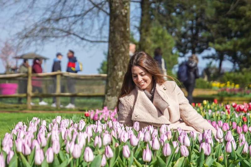 Amsterdam: Keukenhof Ticket and Roundtrip Shuttle Transfer - Price and value: does $40 make sense?