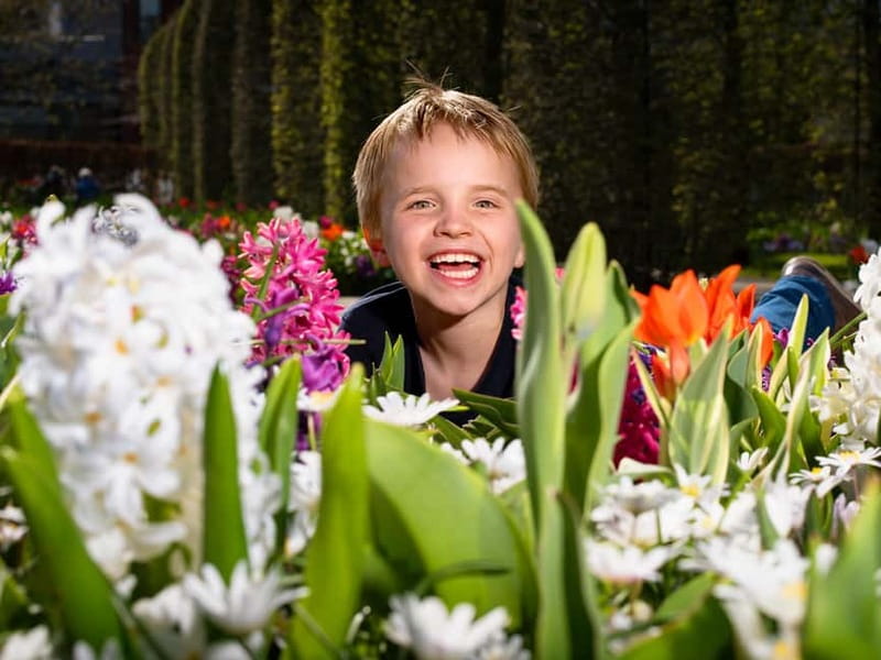 Amsterdam: Keukenhof Ticket and Roundtrip Shuttle Transfer - Who this shuttle is perfect for (and who should rethink it)