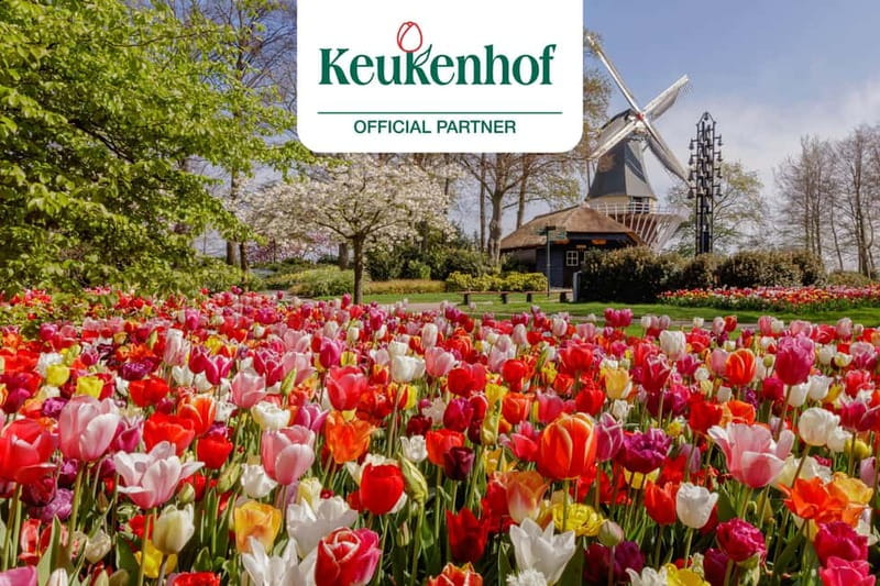 Amsterdam: Keukenhof Ticket and Roundtrip Shuttle Transfer - Getting on board: comfort, seats, and the 30-minute schedule