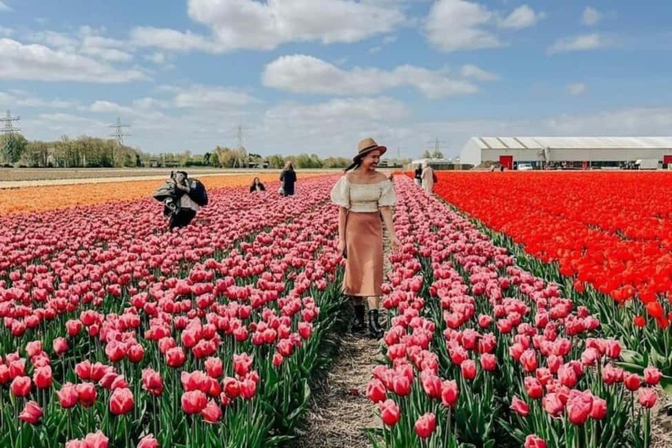 Amsterdam: Keukenhof, Tulip Farm Full-Day Tour with Cruise - Tulip farm visit with Daan and Anja: the real reason this tour feels personal