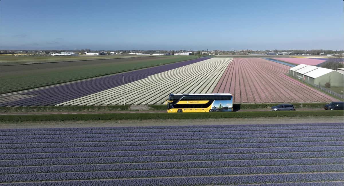 Amsterdam: Keukenhof, Tulip Farm Full-Day Tour with Cruise - Transfer to Keukenhof: the flower region tour you didn’t realize you wanted