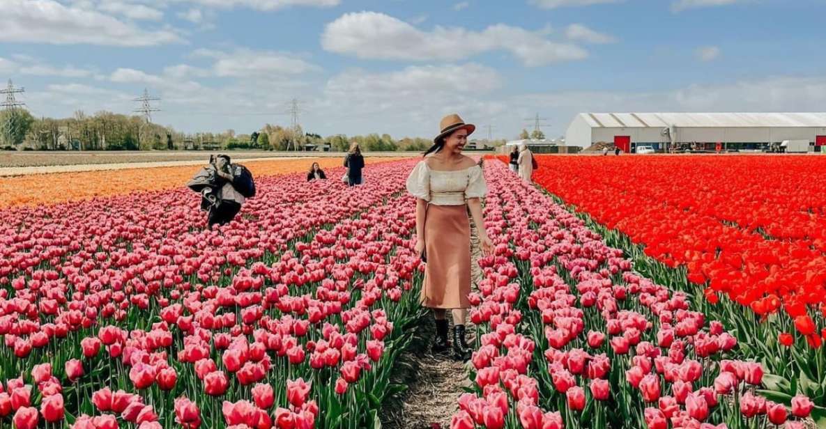 Amsterdam: Keukenhof, Tulip Farm Full-Day Tour with Cruise - Keukenhof gardens on your own time: best strategy for a crowded icon
