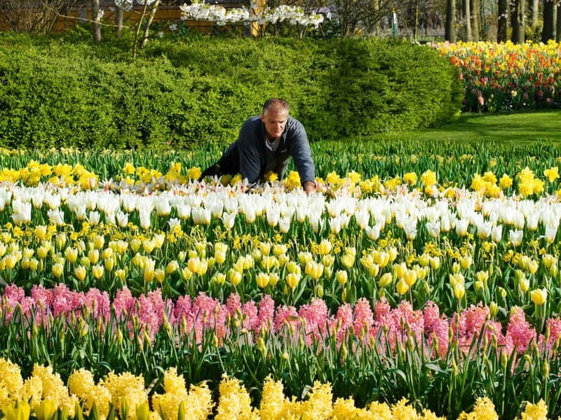 Amsterdam: Keukenhof, Tulip Farm Full-Day Tour with Cruise - Who this tour fits best (and who might want something else)