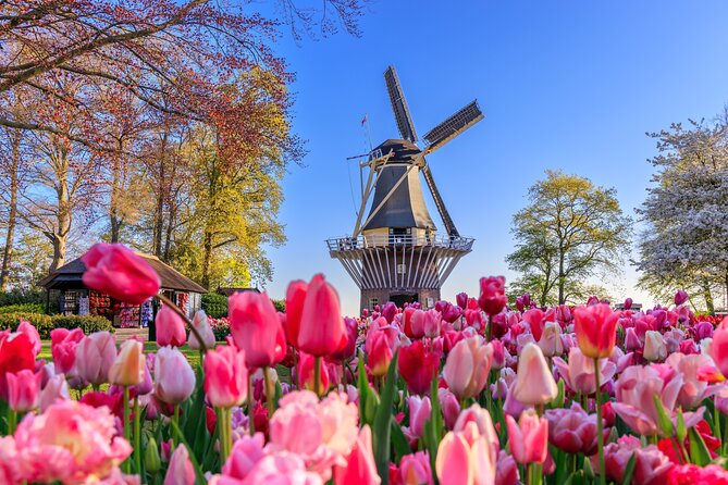 Amsterdam: Keukenhof, Zaanse Schans & Volendam Tour - Key Things to Know Before You Go
