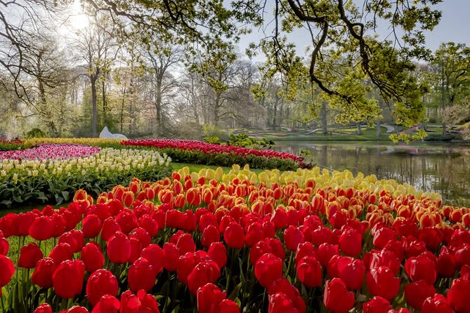 Amsterdam: Keukenhof, Zaanse Schans & Volendam Tour - What I’d Pack for This Tour Day
