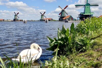 Amsterdam private tour to windmills, cheese farm and villages - Zaanse Schans: operational windmills and the factory idea