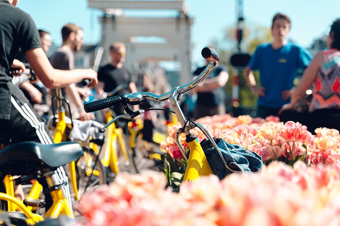 Amsterdam Small Group Bike Tour - Key points before you pedal