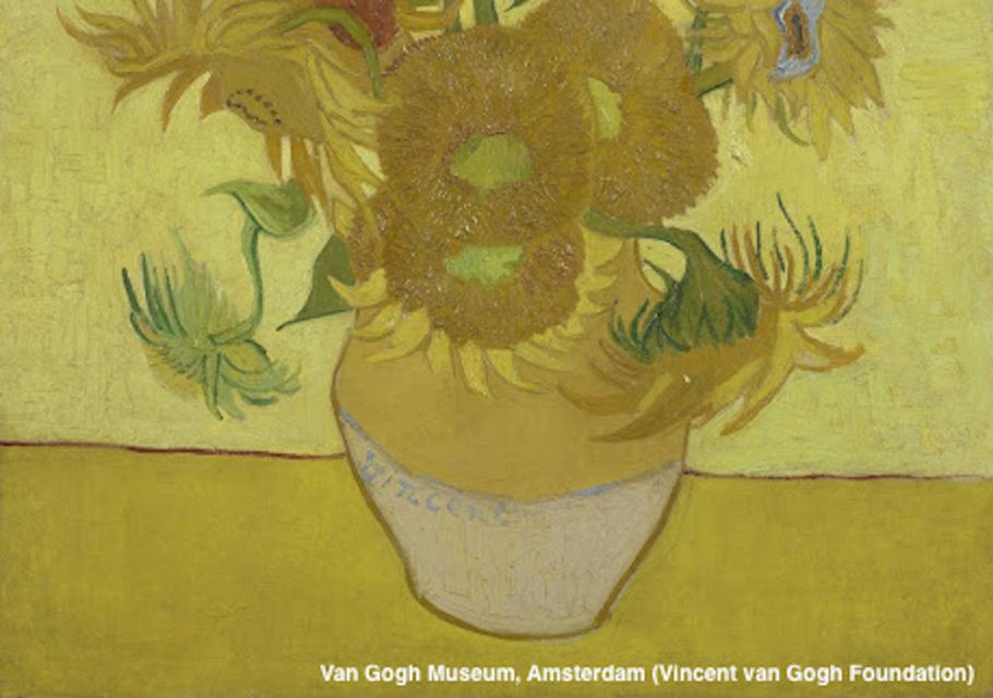 Amsterdam: Van Gogh Museum Guided Tour with Entry - Key highlights I’d plan around