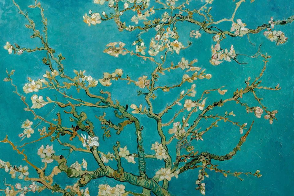 Amsterdam: Van Gogh Museum Ticket & Canal Cruise - Best Order for Your Day: Museum First or Cruise First