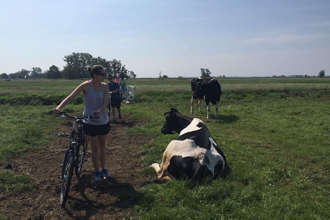 Amsterdam's Countryside Half-Day Bike Tour in Small Group - Why this half-day bike tour feels like a real escape