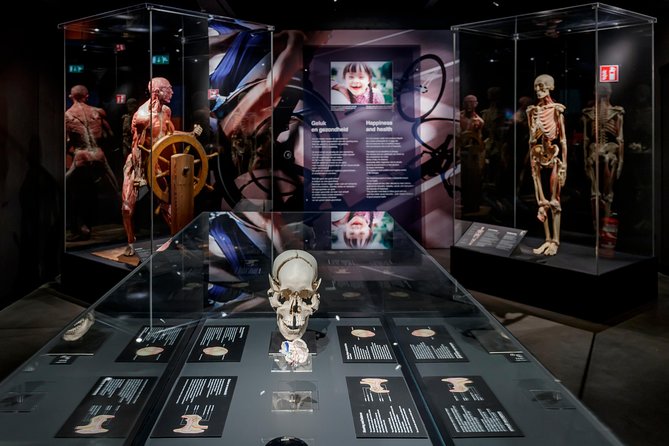 Body Worlds Amsterdam Admission Ticket - The 1.5–2 hour visit: layout, timing, and how to not rush it