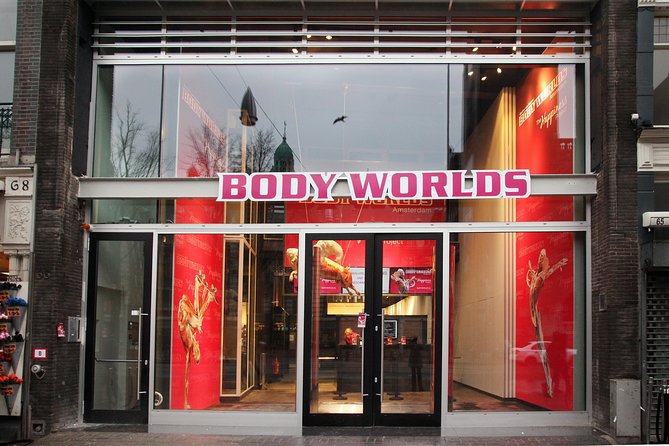 Body Worlds Amsterdam Admission Ticket - Real human specimens and anatomy displays: what to expect