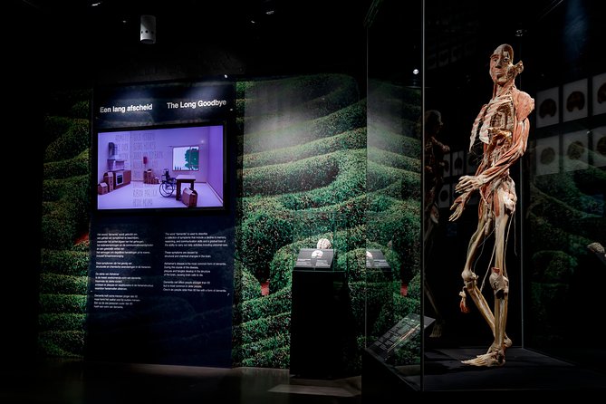 Body Worlds Amsterdam Admission Ticket - Price and logistics: what impacts your cost and your time