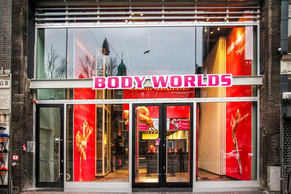 Body Worlds Amsterdam: The Happiness Project Ticket - Key highlights not to miss