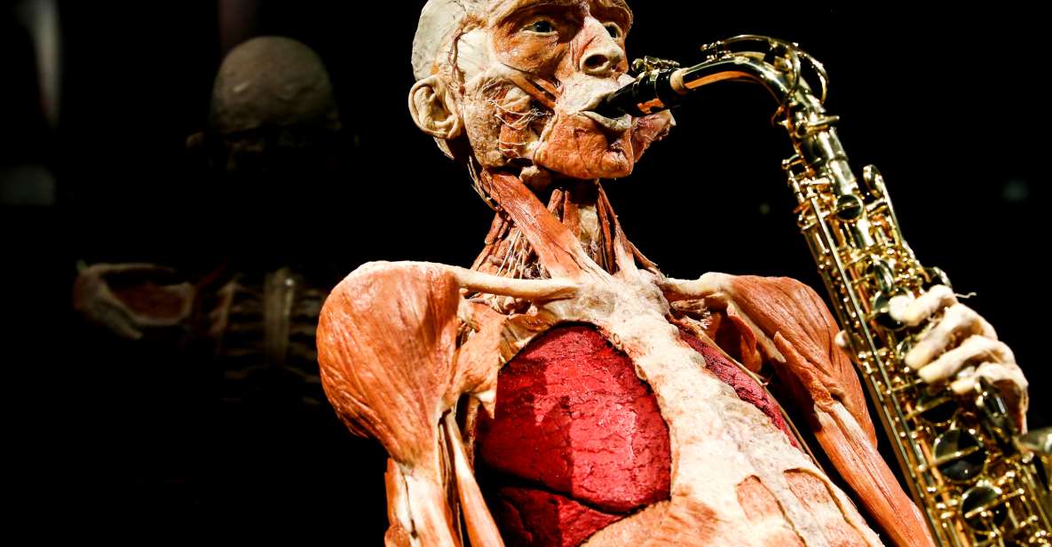Body Worlds Amsterdam: The Happiness Project Ticket - Touring the exhibition: 6 floors, 200+ specimens, and plenty of reading time