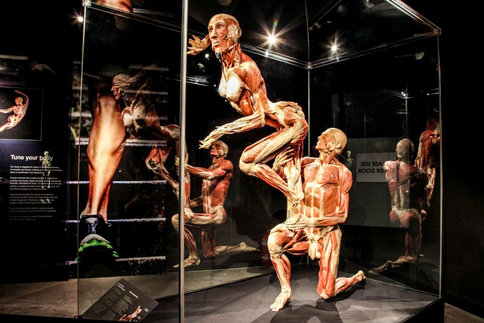 Body Worlds Amsterdam: The Happiness Project Ticket - Your free InBody Scan: the real-world payoff