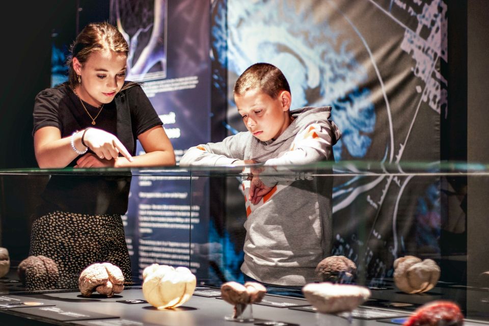 Body Worlds Amsterdam: The Happiness Project Ticket - How long to plan, and when to go in Amsterdam time