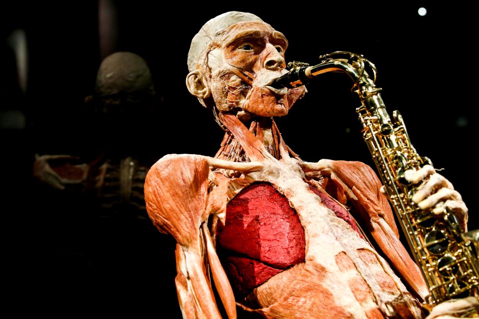 Body Worlds Amsterdam: The Happiness Project Ticket - The Happiness Project theme: why mood gets a full anatomical spotlight