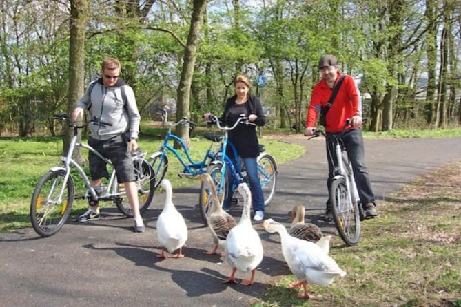 Cheese, Canals & Windmill Countryside E-Bike Tour Amsterdam - Cheese tasting and a clog shop: the snack stop that people actually remember