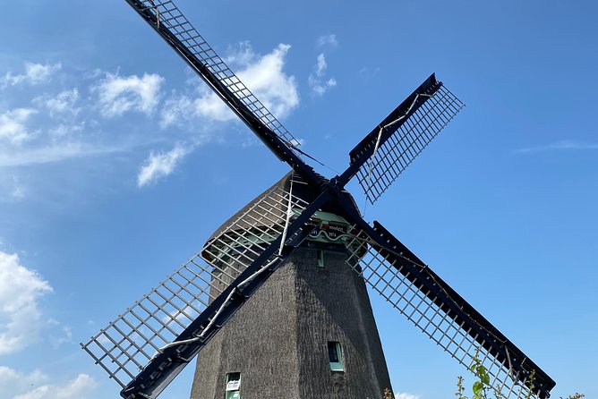 Escape Amsterdam: E-Bike to Zaanse Schans Windmills & Zaandam - Guides and Group Energy: What Makes the Difference on a 10-Person Tour