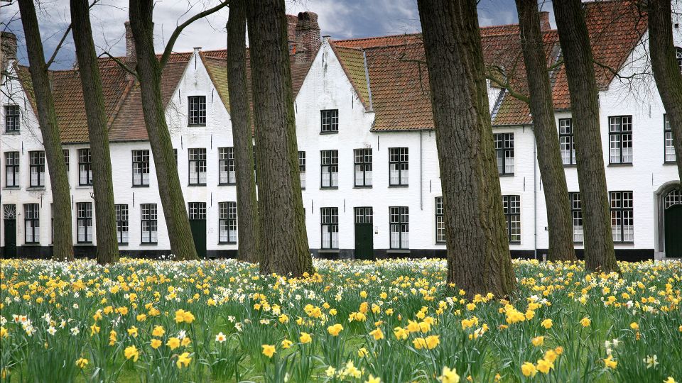 From Amsterdam: Bruges Day Trip in English with Boat Option - Beer education and the chocolate/lace stops you’ll actually use