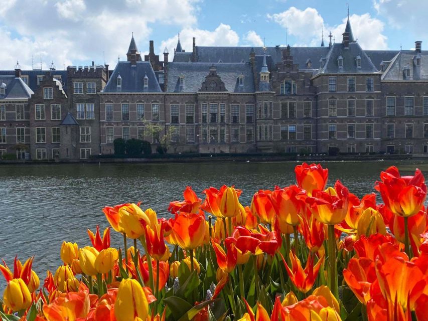 From Amsterdam: Guided Trip to Rotterdam, Delft & The Hague - From Amsterdam to Rotterdam: a quick coach ride into a new city style