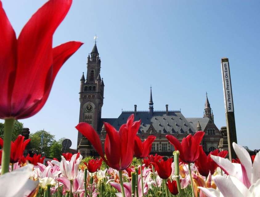 From Amsterdam: Guided Trip to Rotterdam, Delft & The Hague - Delft: where canals, churches, and royal echoes make sense