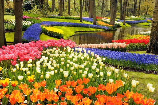 From Amsterdam: Keukenhof Gardens Ticket and Transfer - Key things to know before you go