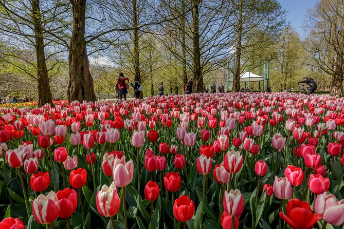 From Amsterdam: Keukenhof Gardens Ticket and Transfer - The optional add-on: Lovers Canal Cruise with audio