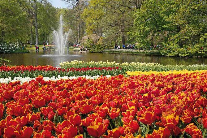 From Amsterdam: Keukenhof Gardens Ticket and Transfer - Comfort, crowding, and the group size reality