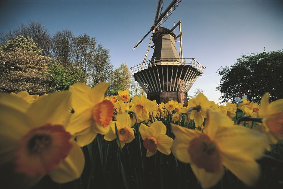 From Amsterdam: Keukenhof Gardens & Tulip Experience Tour - Keukenhof Gardens: 15 kilometers of paths, 32 hectares, and limited time