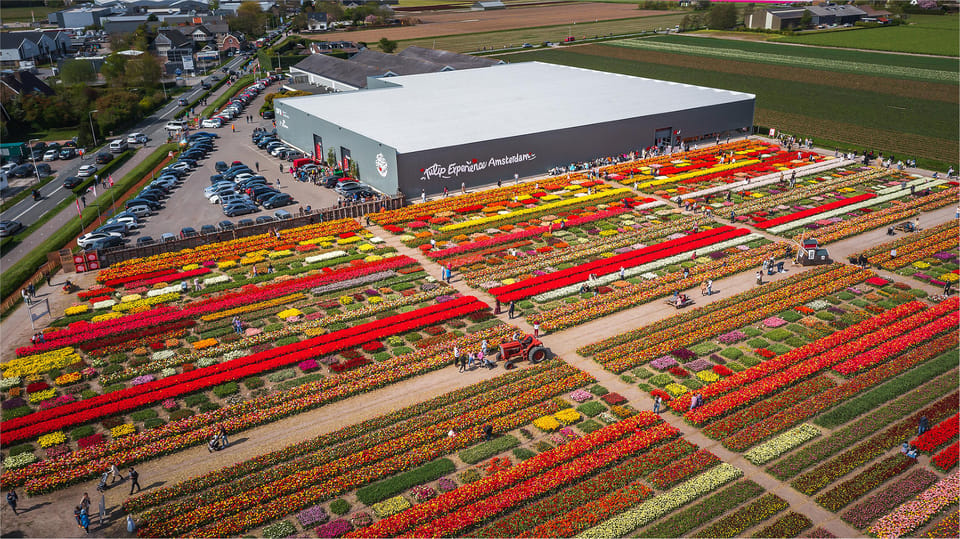 From Amsterdam: Keukenhof Gardens & Tulip Experience Tour - The day’s flow, stop by stop (and what to watch for)